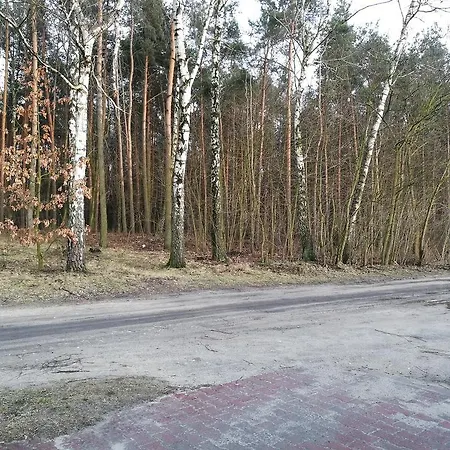 Dom Mysliwski * Kobylka