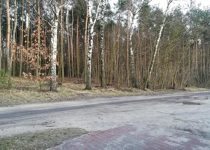 Dom Mysliwski * Kobylka